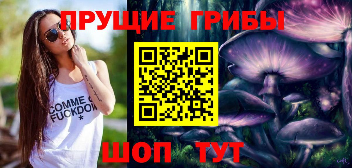 Псилоцибиновые грибы GOLDEN TEACHER  Псилоцибиновые грибы ЛСД  сколько стоит  Вход с VPN  Михайловск 