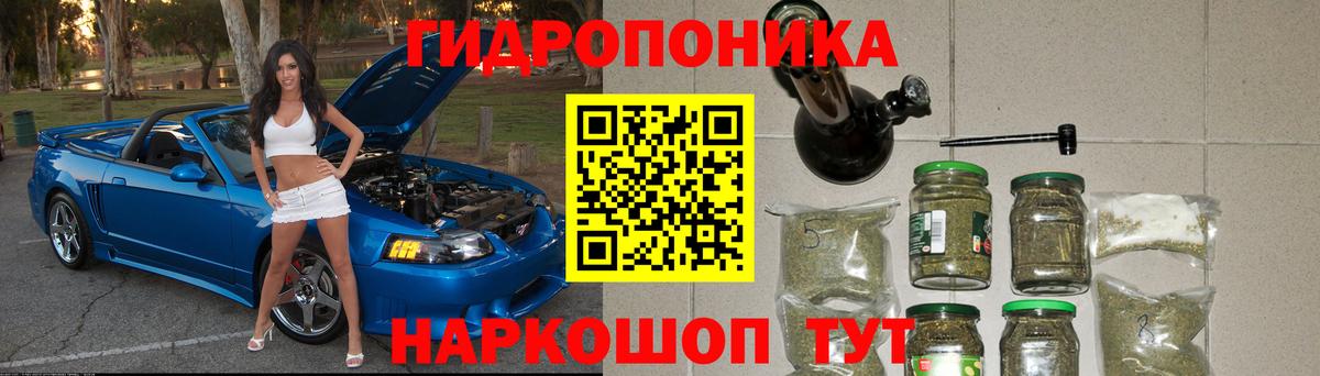 Шишки марихуана план Михайловск